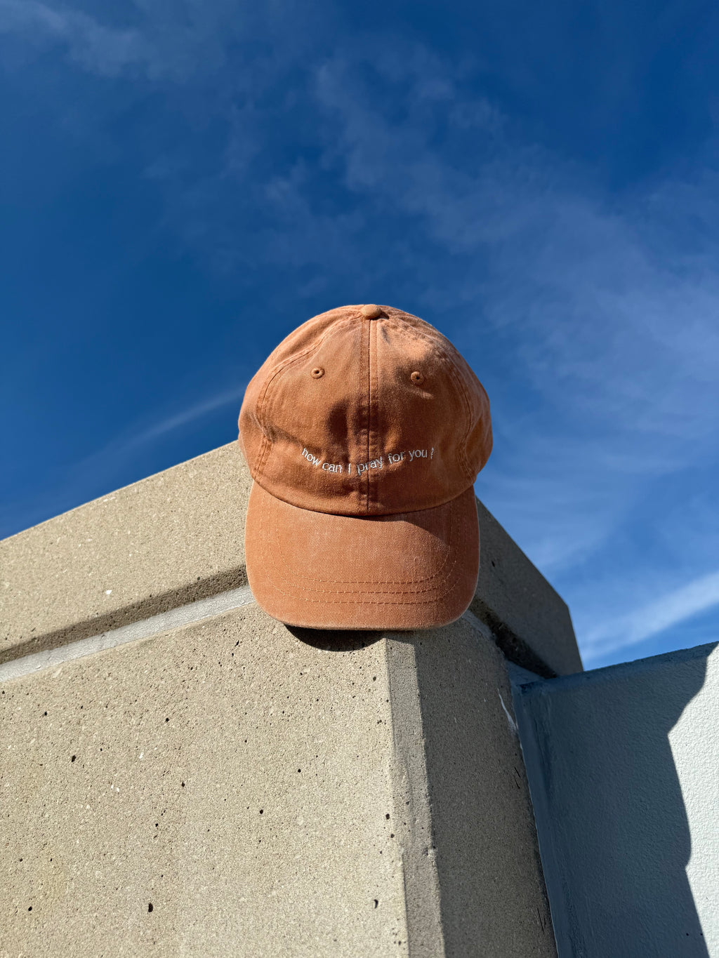 Embroidered "HCIPFY?" Dad Hat-Terra Cotta