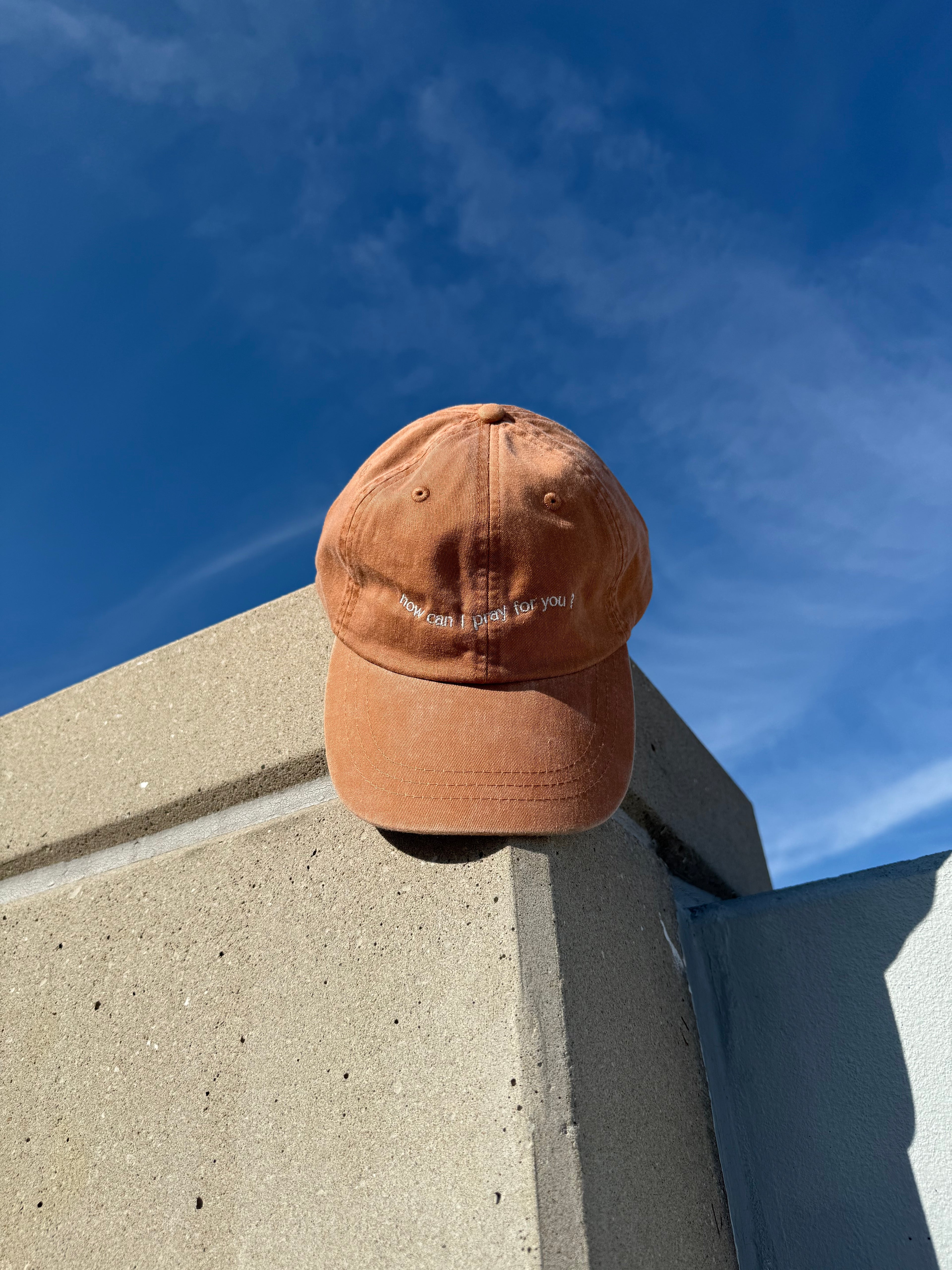 Embroidered "HCIPFY?" Dad Hat-Terra Cotta